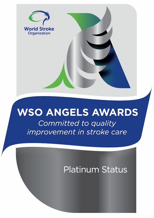 WSO Angels Award Platinum